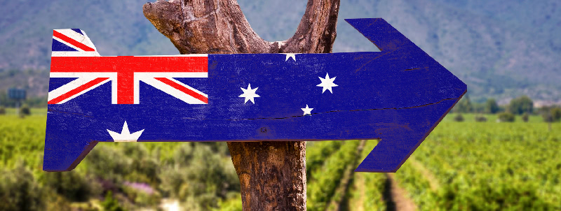 Champagne-Pages-Home-Xuat xu vang - Large